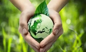 leyu·乐鱼(中国)体育官方网站零碳(近零碳)发展战略和实施方案